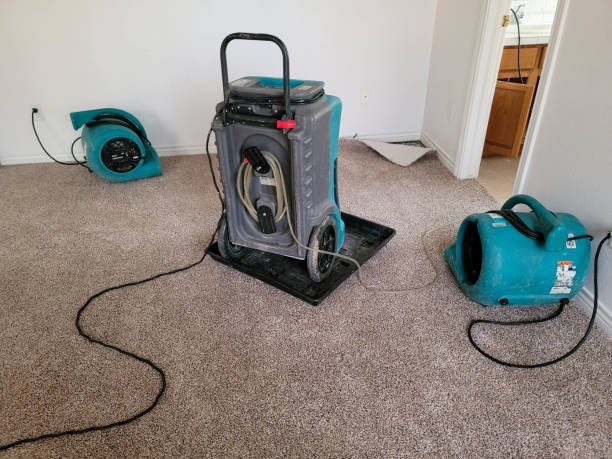  Forest City, PA Water damage restoration Pros