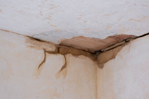 Best Carpet water damage restoration  in Forest City, PA