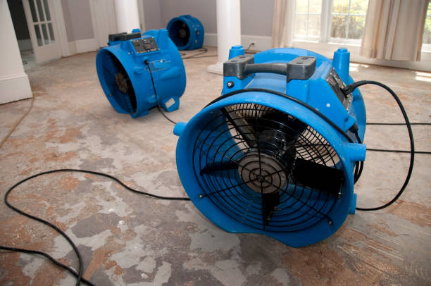 Best Basement water damage restoration  in Forest City, PA